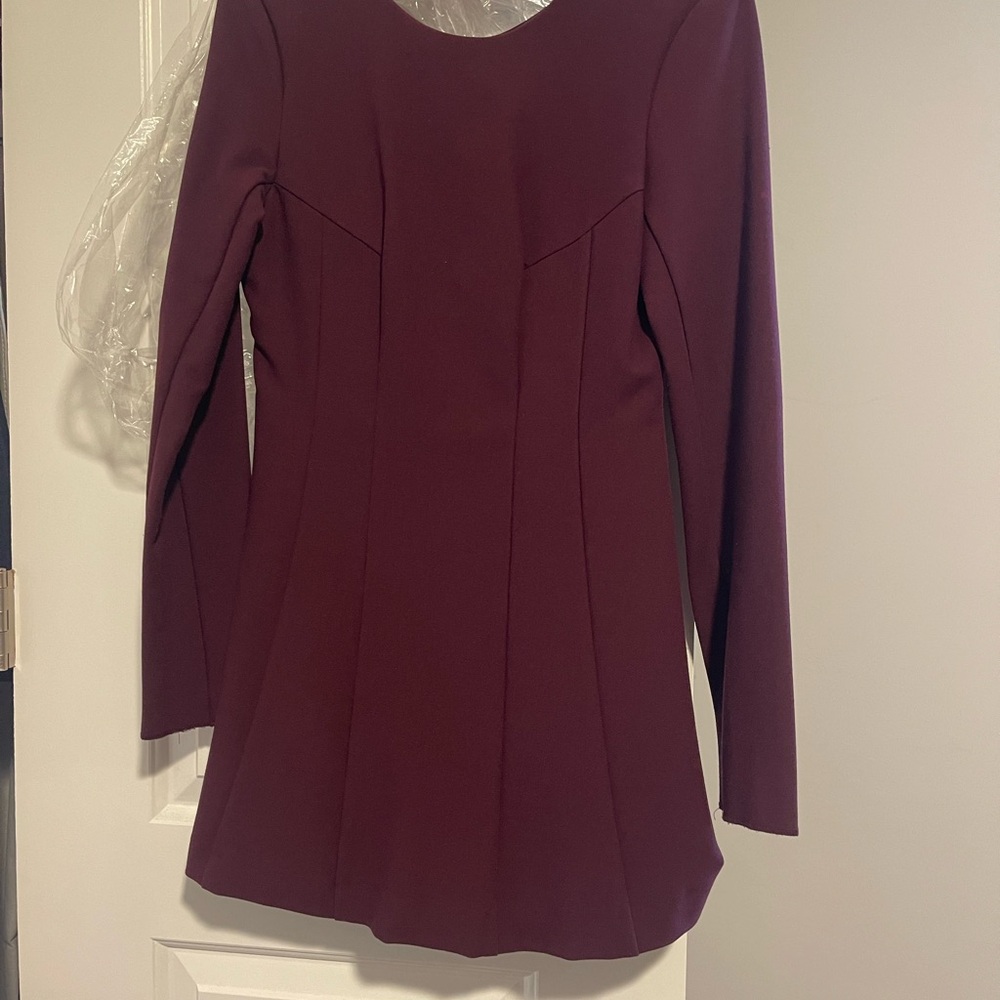 Zara Deep Burgundy Long Sleeve Dress